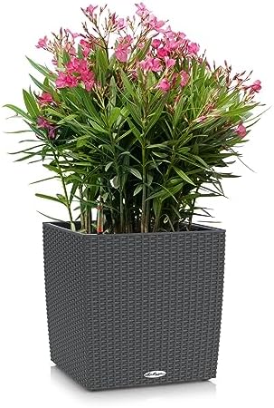Lechuza Cube Cottage 30 Granite, Self-Watering Square Planter, H11.8 L11.8 W11.8 in - Image 2