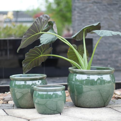 Ceramic Planters Set, 15/12/9 in Large Flower Pots, Blue Green by GMUltra