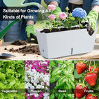Window Box Planter 6 Pcs, 16.5 Inches Self Watering Rectangle Flower Plant Pots with Drainage Holes Trays, Vegetable Planters for Windowsill Patio Garden Balcony Porch Yard (White) - Image 7