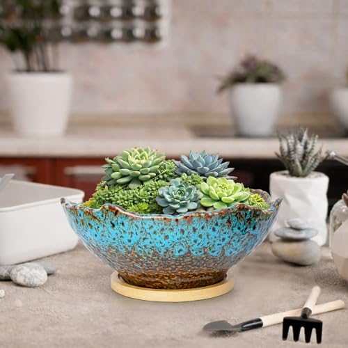 Bonsai Pots, 9.06'' Large Plant Pots with Drainage Tray, Succulent Pots - Image 6