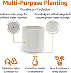 Amazon Basics Fluted Ceramic Planter Pot for Indoor Outdoor Plants, Round Flower Pot with Drainage Hole, 10-inch, White - Image 2