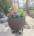 Bosmere 14" Plant Caddie - Heavy-Duty Rolling Plant Stand with Locking Wheels, 500 lb Capacity – Durable Plant Caddy for Indoor/Outdoor Use, Light Gray (Pack of 2) - Image 2