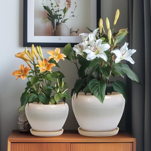 Ceramic Flower Pots, 10+8+6 Inch Ceramic Planters, White-Grey - Image 4