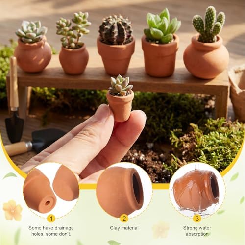 Maxdot 36 Pcs Small Terracotta Pot Tiny Clay Pots Bulk, 1.34 Inch, 6 Style - Image 3