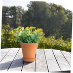 SEWACC Red Clay Succulent Pots with Saucers 8x8 Cm Terracotta Planters for Indoor Outdoor Gardening 5pcs Set Breathable Water-Absorbent Flower Containers with Drainage Tray - Image 5