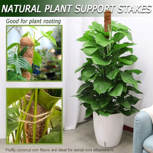 Soupiar 2 Pack 60'' Bendable Moss Pole for Monstera & Pothos - Tall Handmade Coco Coir Plant Support Stakes for Large Climbing Indoor Plants, Potted Houseplant Trellis Accessories - Image 6