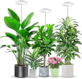 Aokrean 6.3in Grow Light,Full Spectrum Halo Plant Lights for Indoor Growing by Aokrean