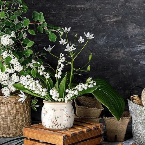 2 Pcs Vintage Planter Ceramic Plants Pot with Drainage Ice Crack Scroll Flower Vase Pot for Indoor Outdoor Plants Home Kitchen Decor Gifts(Rustic Rose,5.9") - Image 5