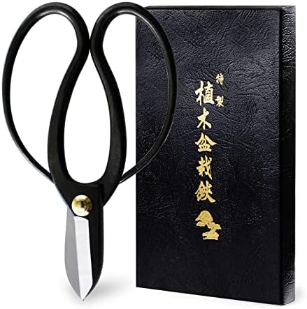 Hanafubuki Wazakura Ikebana Scissors MADE IN JAPAN 6.7 inch (170 mm), Japanese Flower Arranging Tools, Kado Hasami Shears - Koryu Black by WazakuraJapan