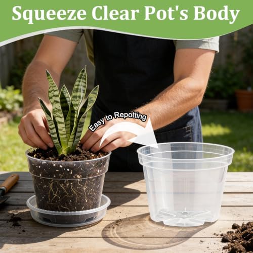 RooTrimmer 15 Pack 8/7/6 Inch Clear Nursery Pots with Saucer, Transparent Plastic Plant Pot with Drainage Hole, Sturdy Planting Starter Pots for Gardening Flower Herb Vegetable - Image 5