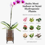 Pot & Pebble C8 Glass Orchid Pot, Metal Base - LECA Semi-Hydro Planter - Image 5