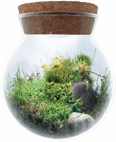 Create Your Serene Moss Sanctuary with The Unique Gardener Moss Bowl Terrarium Kit with LED Light - Complete Terrarium Supplies, Indoor Plants for Stress Relief & Air Purification! - Image 2
