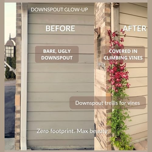 Downspout Trellis for Climbing Plants & Clematis, 9 ft x 4 in, 1-Pack - Image 3