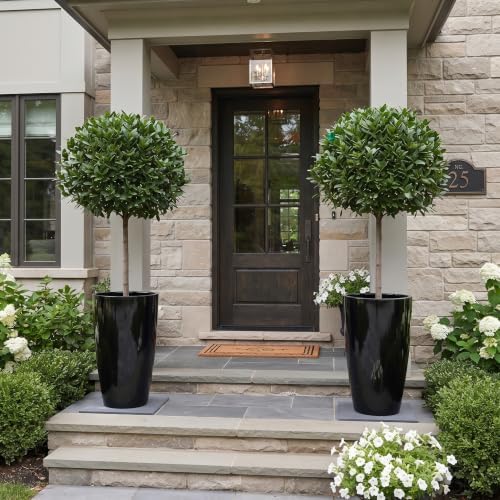 SUN-E Tall Planter for Outdoor Indoor Plants 2Pack, 21Inch Large Gloss Black Planter with Removable Insert Shelf High Glossy Piano Finish Ceramic-Look Tall Flower Pot for Office Lobby Minimalist Decor - Image 2