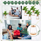 Nuanchu 4 Pcs Desktop Plant Terrarium Vase, Large - Image 6