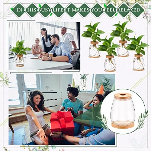 Nuanchu 4 Pcs Desktop Plant Terrarium Vase, Large - Image 6