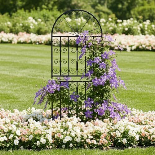 SCENDOR 59" H x 22" W Arched Metal Garden Trellis with Scrollwork, Rustproof Iron Plant Support for Climbing Roses, Clematis & Vines, Decorative Garden Screen for Lawn & Backyard 1 Pack - Image 4