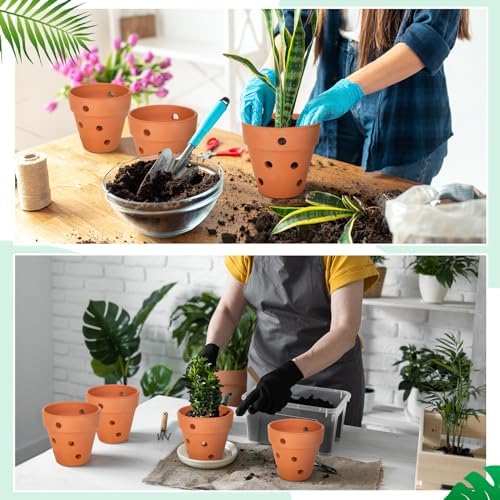 FoldTier 12 Pcs 4 Inch Terracotta Orchid Pot with Drainage Holes - Image 6