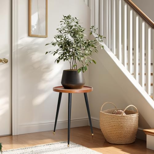 KINNARY Plant Stand Indoor, Mid Century Wood Plant Table Plant Holder with Raised Design,Heavy Duty Metal Tall Flower Pot Stand, Modern Home Decor Small Round Side End Table(11.8"x16") - Image 5