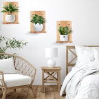 Small Wall Shelf Modern,Wooden Mini Floating Shelves,Indoor Wall Mounted Plants Shelf L Shaped,Midcentury Display Decorative Holder for Gallery Living Room Bedroom Porch,Pine,4 Pack(Carbonized Brown） - Image 5