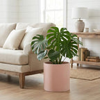 FaithLand 12 Inch Fiberstone Planter - Lightweight Modern Cylinder Plant Pot with Drainage Hole & Plug, Indoor Outdoor Use, Terracotta Color - Image 7