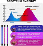 LED Grow Lights for Indoor Plants, 80W Plant Grow Lights Full Spectrum Auto ON Off with 3/9/12H Timer, 9 Dimmable Lightness Clip-On Desk Grow Lamp Bulbs (4 Heads) - Image 6