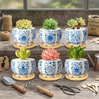 3.1 Inch Flower Pots Succulent Pots with Drainage Bamboo Tray Set of 6 - Image 5
