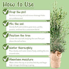 Soil Sunrise Olive Tree Potting Soil Mix (12 Quarts) for Planting, Repotting, and Growing Olive Bushes/Plants - Image 7