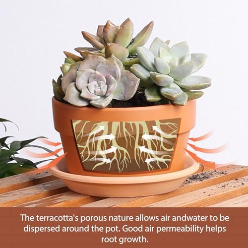 INGOFIN 5 Inch Terracotta Shallow Pots Set with Saucer - Ceramic Clay Pots with Drainage Hole, Terra Cotta for Plants for Indoor Outdoor Plants, Set of 6 - Image 4