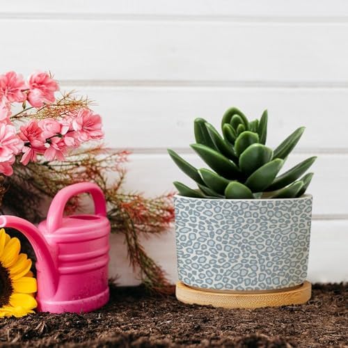Leopard Light Dot Planters Ceramic African Tribal Animal Print Round Flower Pot with Drainage Holes and Bamboo Tray Pot for Home Office Desk Garden - Image 5