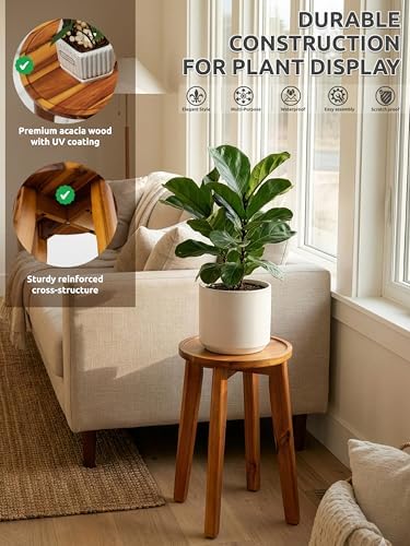 Demigo 15 in Tall Plant Stand, Acacia Plant Shelf for Indoor & Outdoor Use - Image 3