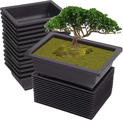 KINJOEK 15 PCS 8.9 Inch Plastic Bonsai Training Pots with Drainage Hole Trays, Rectangular Plant Bonsai Tree Planter, Flower Succulent Pots Container for Garden, Indoor, Home Decorative by KINJOEK