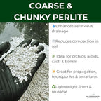 GARDENWISE Perlite for Plants, Coarse and Chunky Horticultural Perlite, Organic Perlite for Gardening Indoor & Outdoor, Perlite Bulk Bag, Made in USA (20 quarts) - Image 3