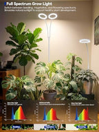 Grow Lights for Indoor Plants, Full Spectrum LED Plant Light with Stand - Image 2