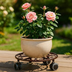 5 Pack Plant Caddy with Wheels Heavy Duty 16 Inch Large Metal Plant Stand with Wheels Plant dolly Rolling Plant Stand Plant Roller with Casters for Indoor and Outdoor with 5 Pack Plant Saucers, Bronze - Image 5