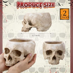 2 Pack Halloween Skull Planter, Beige, Vintage - Image 2