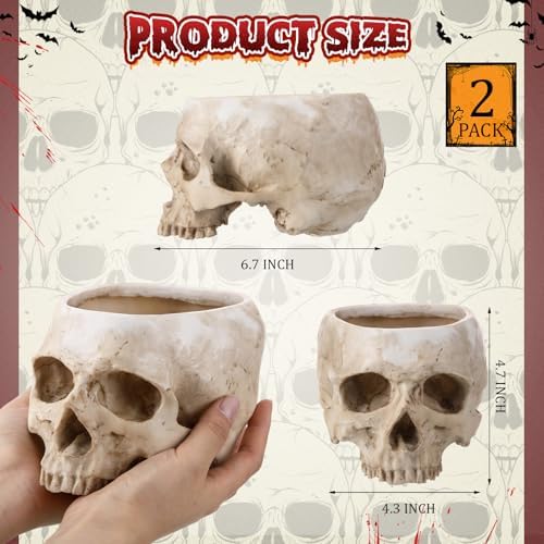 2 Pack Halloween Skull Planter, Beige, Vintage - Image 2