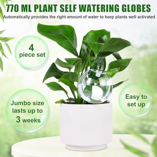 4 Pack 26 oz Extra Large Plant Self Watering Globes Top Fill - Image 2