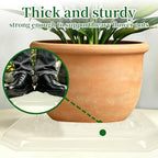 Plastic Plant Saucer, 6 Pack, Square, (14x14) - Image 3