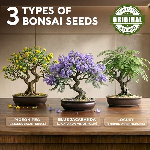 Bonsai Tree Kit Classic - Growing 3 Unique Japanese Bonzai Trees - Image 3