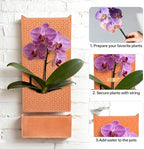 dadop Terracotta Self Watering Wall Pots for Indoor Plants, Hanging Planters for Indoor Plants Holder, Terra Cotta Pot Home Decor - Image 4
