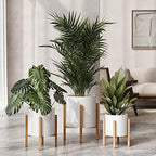 EverNest Claire Minimalist White Plant Pot with Kinsley Wood Stand, Indoor Mid-Century Planter, SelectBase, Modern Plant Holder, Boho Style Home Décor Pots (Large, 3 Gallon) - Image 6