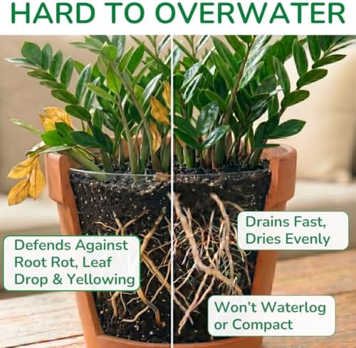 Organic Indoor Plant Soil, Well-Draining Potting Mix, Large 7.5L Bag - Image 4
