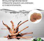 Natural Large Driftwood for Aquarium Decor Fish Tank Decor Reptile Decor - Image 3