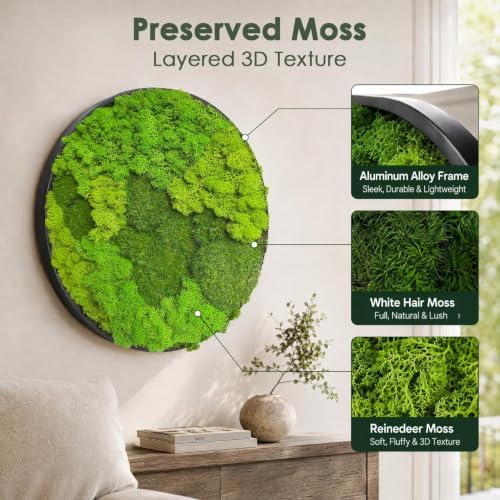 Motivilla 11.8" Round Preserved Moss Wall Art with Modern Aluminum Frame - Image 4