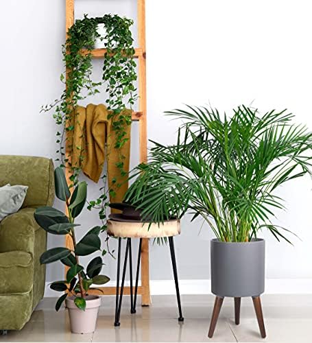 D'vine Dev 10 Inch Planter Pot with Stand, Mid-Century Tall Plant Pot with Legs for Indoor Plants, Medium, Grey, 88-O-B-3 - Image 6