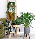 D'vine Dev 10 Inch Planter Pot with Stand, Mid-Century Tall Plant Pot with Legs for Indoor Plants, Medium, Grey, 88-O-B-3 - Image 6