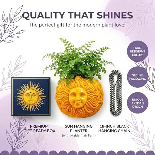 Nebula Colors Fun & Unique Sun Face Hanging Planter Quirky Celestial Decor for Plant Lovers – Indoor Outdoor Flower Basket for Succulents & Small Plants – Decorative Garden Yard Art - Image 5