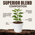 Old Potters Germination Mix with Peat Moss, Fine Perlite & Vermiculite - Perfect for Seed Germination, Plugs, and Cutting Propagation - Balanced pH, Enhanced Drainage and Aeration, 24 Quarts. - Image 4