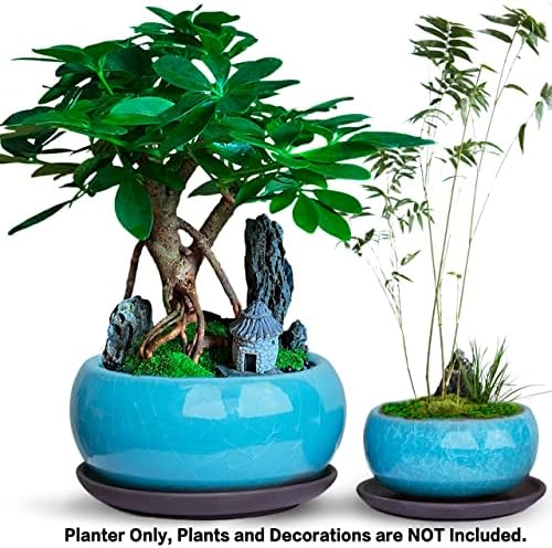 Dahlia Round Ceramic Succulent Pot/Bonsai Pot with Drainage Tray, 2pc Set Teal - Image 2